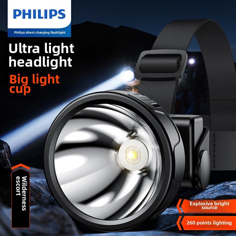 Outdoor Lighting Philips - PHILIPS SFL1342 Lampada frontale a LED