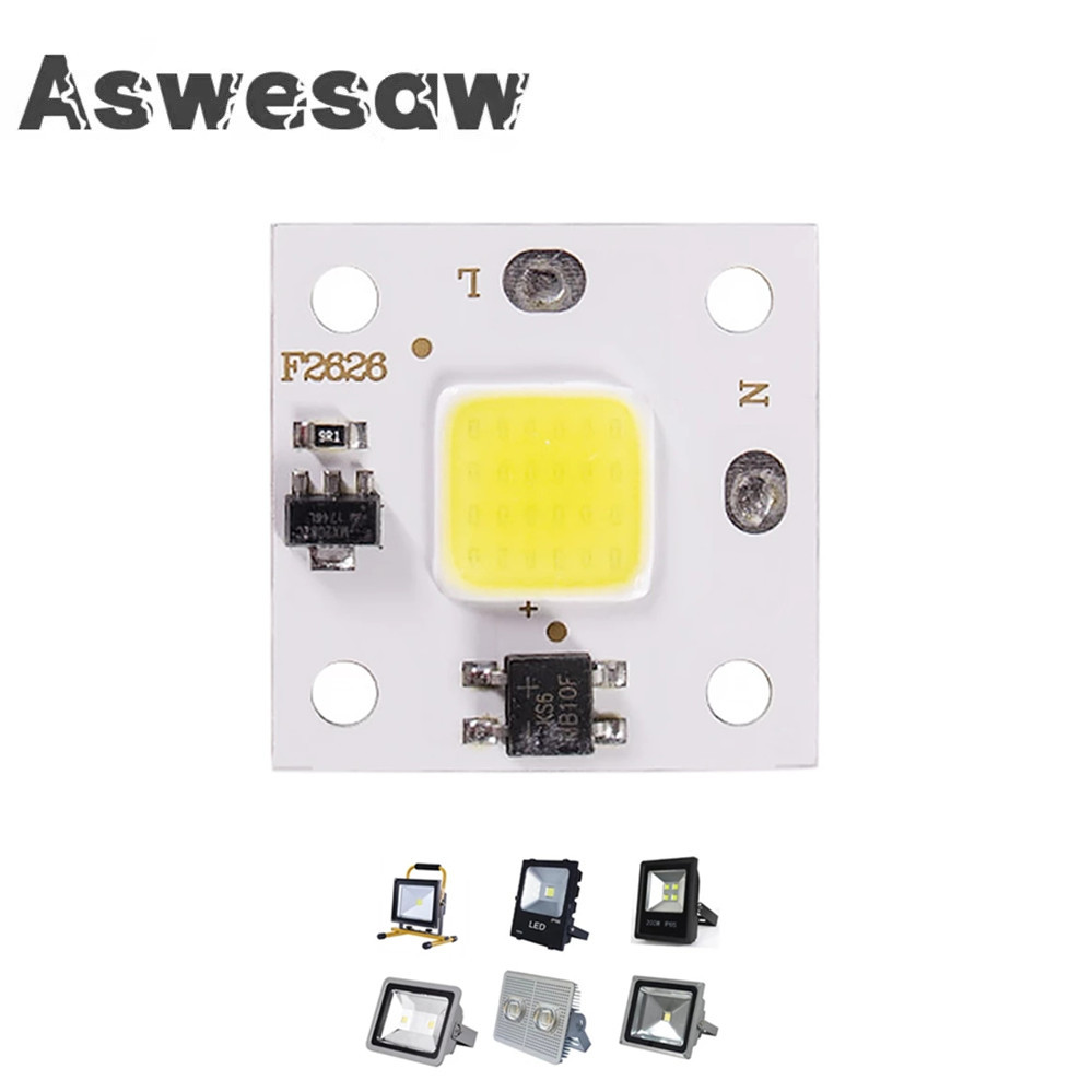 Outdoor Lighting For Backyard - 10W modulo COB 220V LED Chip