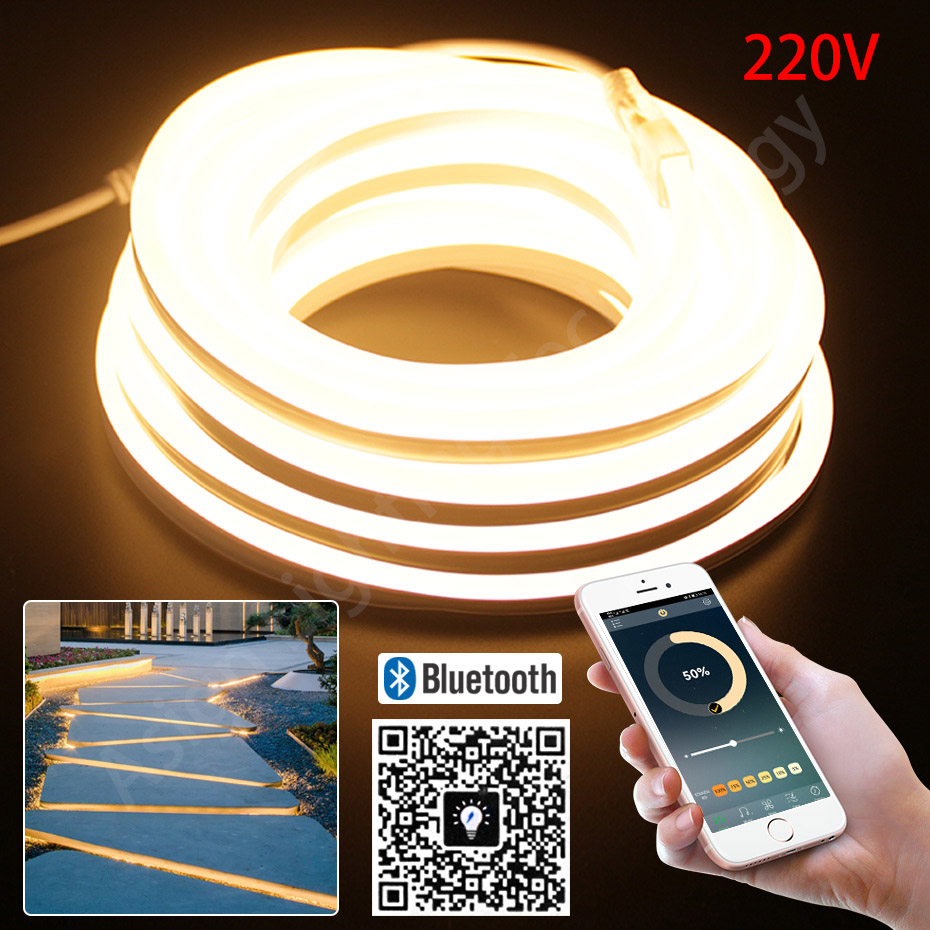 Outdoor Lighting Timer Switch - Striscia al neon a LED 220V
