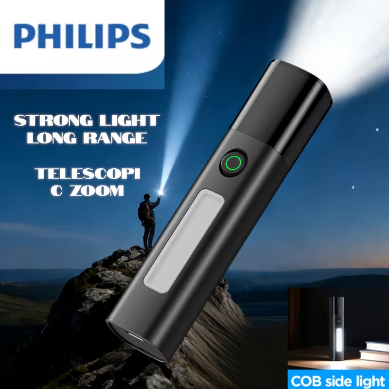 Torcia LED Philips SFL1151 con - Outdoor Lighting Philips recensione e prezzo