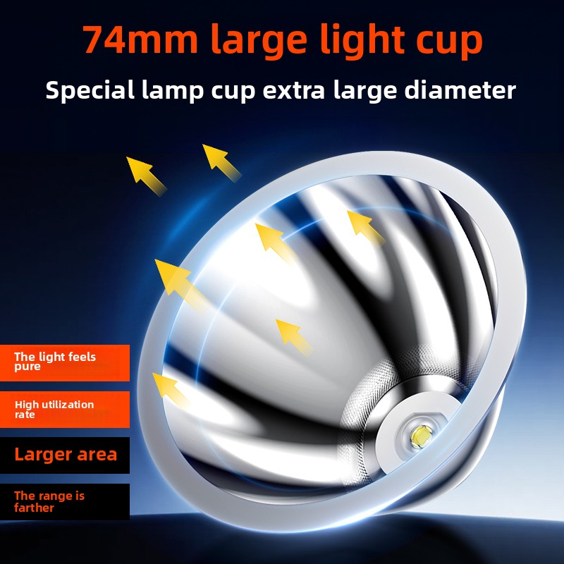 PHILIPS SFL1342 Lampada fronta - Outdoor Lighting Philips recensione e prezzo