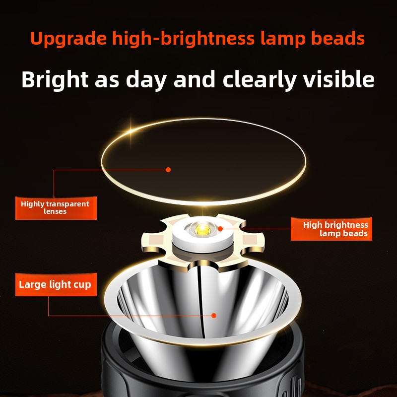 PHILIPS SFL1342 Lampada fronta - Outdoor Lighting Philips recensione e prezzo
