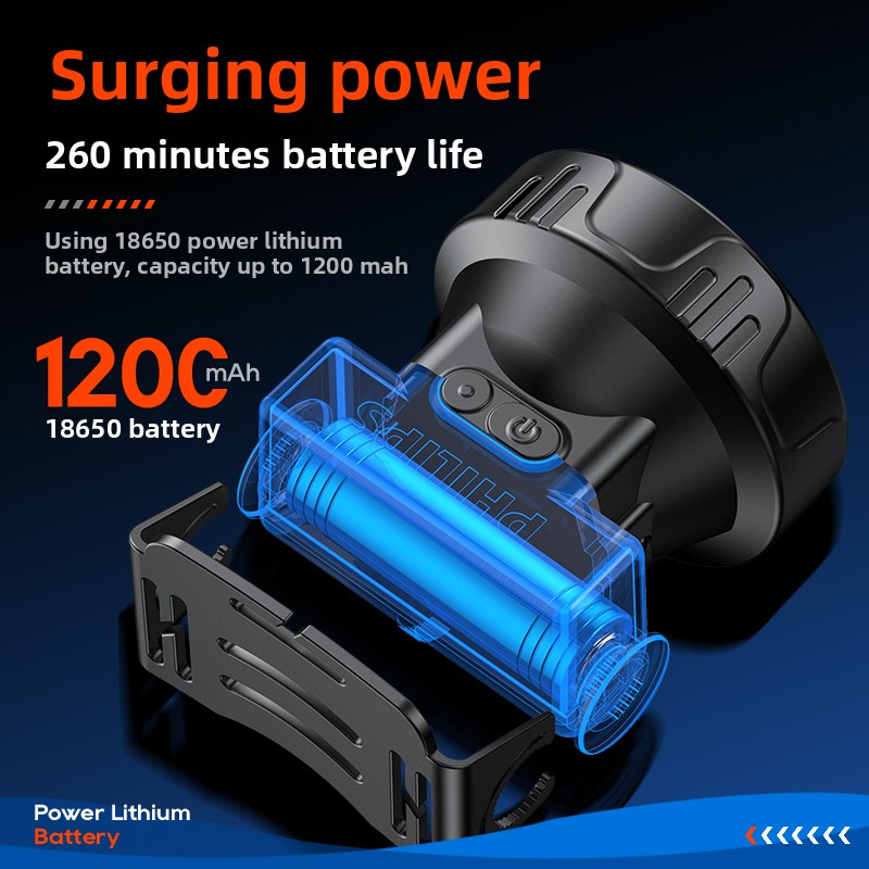 PHILIPS SFL1342 Lampada fronta - Outdoor Lighting Philips recensione e prezzo