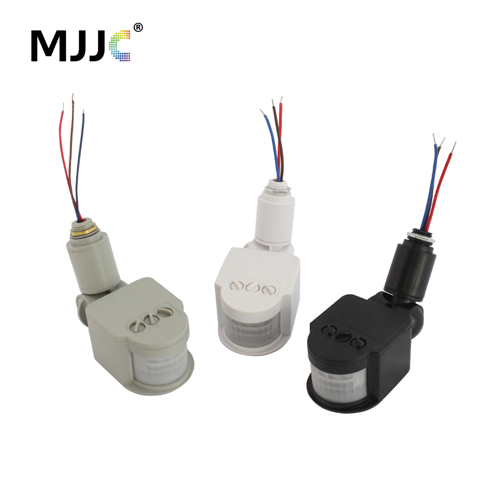 Sensore di movimento 220V 12V  - Outdoor Lighting Timer Switch recensione e prezzo