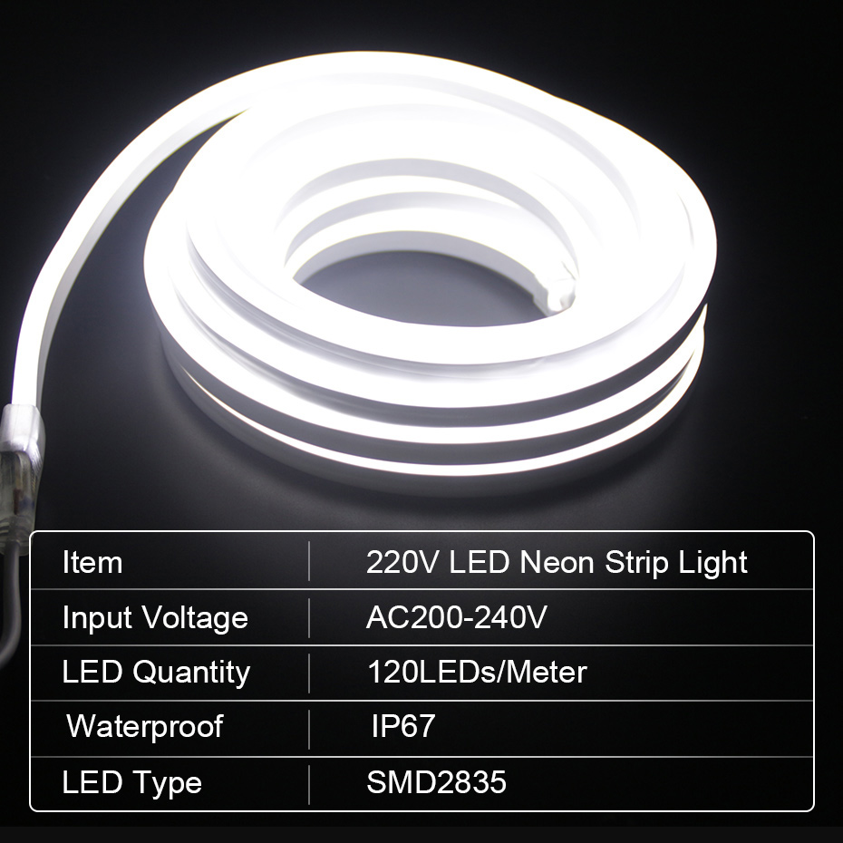 Striscia al neon a LED 220V 28 - Outdoor Lighting Timer Switch recensione e prezzo